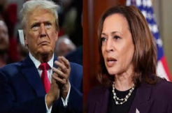Google, Microsoft are Kamala Harris' top funders. And it's a worry...