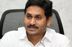 No TDP leader to contest against Jagan in Pulivendula?
