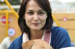 Amala Akkineni opposes Congress party's plan against stray dogs
