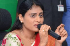 Sharmila to enter into lion's den