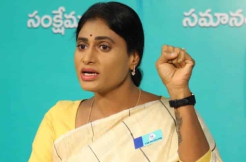 Will Sharmila's hard bargaining fructify?