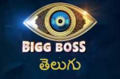 Bigg Boss Telugu title winner needs to gain glory 