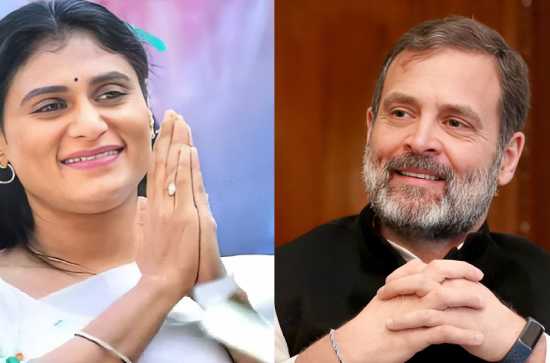 On YSR Jayanthi Sharmila thanks Rahul Gandhi