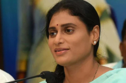 Sharmila hellbent on her constituency