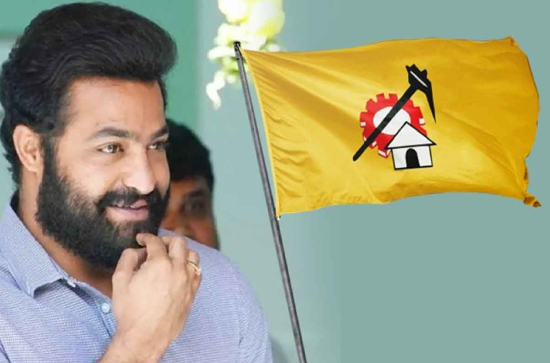 TDP has no right to ask for Jr NTR's support?