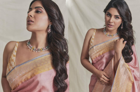 Glam Shot :Actress Samyuktha in Salmon Pink Saree