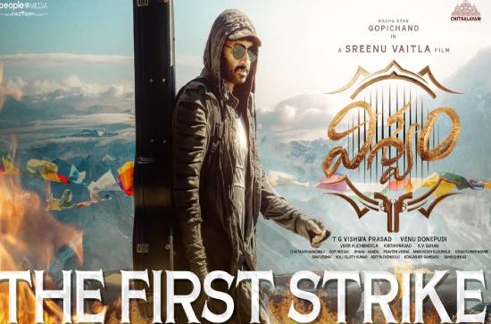 Striking First Strike: Gopichand, Sreenu Vaitla’s project named 'Viswam'