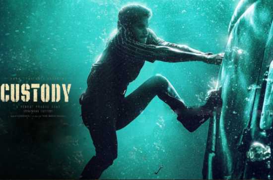 'Custody' can escape trolling if that sequence works wonders