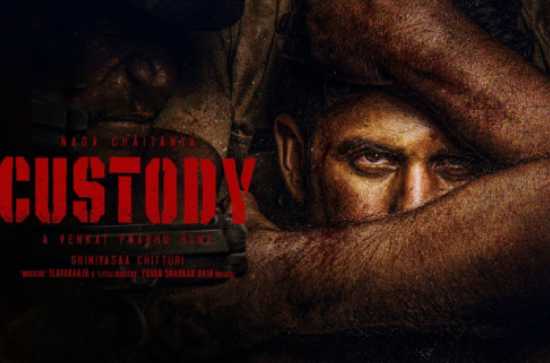 Tamil directors fail Mahesh, PSPK, Ram, VD and now Naga Chaitanya