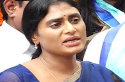 Sharmila cancels Congress, to contest 119/119