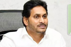 Dominant Jagan locks Gannavaram and Gudivada 