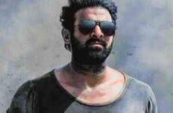 'Salaar' vs 'The Vaccine War': Which one has got the edge?