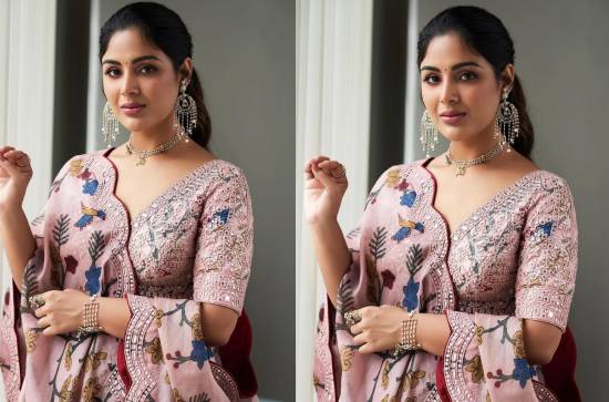 Rising Star Samyuktha: From Tollywood Sensation to Bollywood Debutante