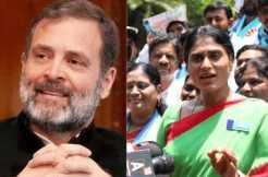 Interesting: Amidst rumors, YS Sharmila wishes Rahul Gandhi