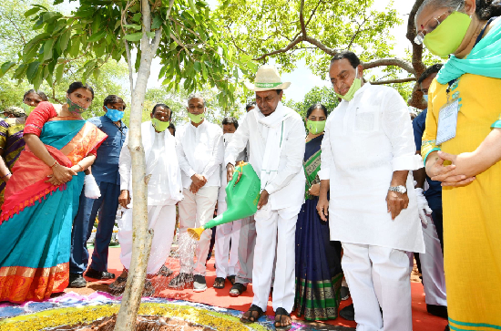 KCR starts Haritha Haaram celebrations