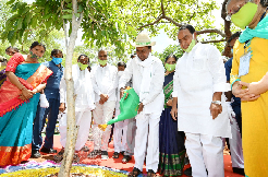KCR starts Haritha Haaram celebrations