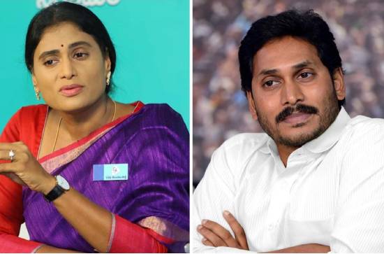 It's official! Sharmila owes Jagan Rs 100 crore