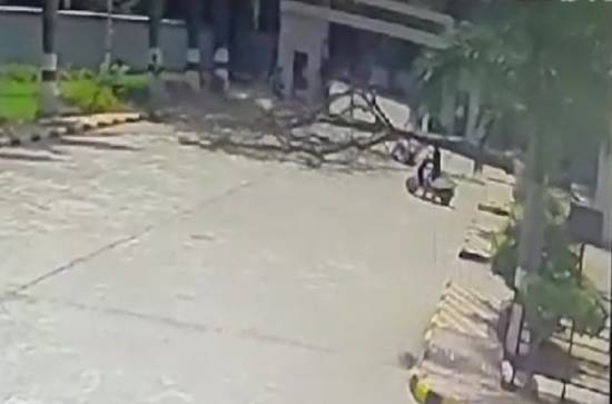 Hyderabad Tragedy: Tree Fall Claims Innocent Life