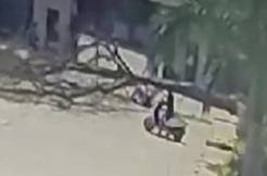 Hyderabad Tragedy: Tree Fall Claims Innocent Life