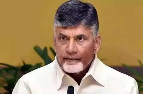 CID case against Chandra Babu to be heard