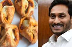 YSRCP says 'Egg puffs' story is purely sensationalism, baseless 