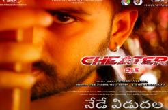 Review Cheater: Makes its point