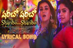 Vox Beatz's 'SHARIBO SHARIBO' celebrates spicy desire! 