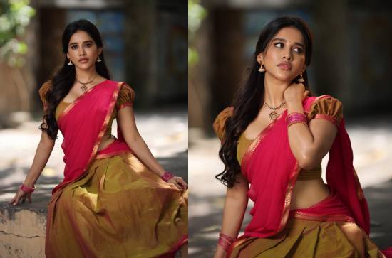 Glam Shot:Nabha Natesh in Festival Mood