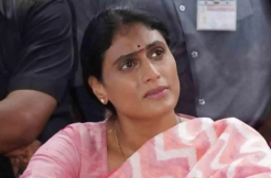 Political Edge Survey: Sharmila losing deposit 