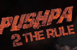 Interesting news about Pushpa 2