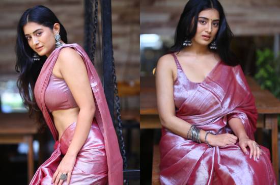 'Bhoothaddam Bhaskar Narayana' is unpredictable until climax: Raashi Singh 