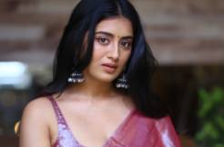 'Bhoothaddam Bhaskar Narayana' is unpredictable until climax: Raashi Singh 