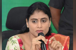 Jagan vs Sharmila: Who will win?