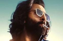 'Animal': Advance booking status is stunning