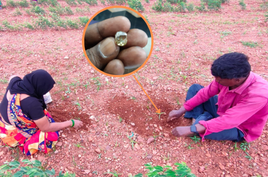 Kurnool’s Quest for Diamonds: Jonnagiri Locals Explore Agricultural Fields