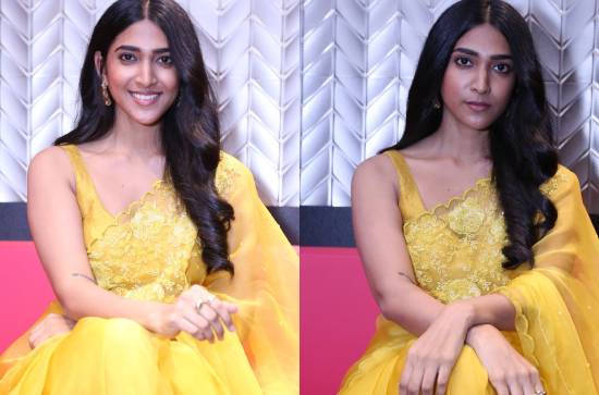 'Happy Ending' is a whacky comedy entertainer with a pure heart: Actress Apoorva Rao 