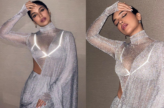 Glam Shot: Actress In Most Attractive Silver Saree