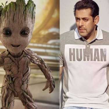 BREAKING NEWS.... SALMAN KHAN JOINS THE GUARDIANS? FIND OUT TO KNOW HOW IS GROOT INSPIRING HIM THESE DAYS!
