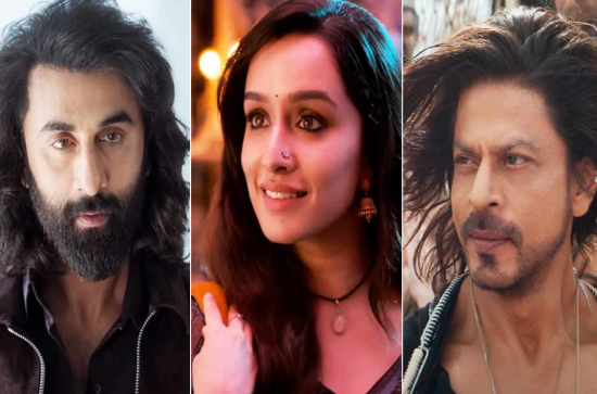 'Stree 2' Shatters Box Office Records, Outperforms 'Animal', 'Pathaan'