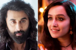 'Stree 2' Shatters Box Office Records, Outperforms 'Animal', 'Pathaan'